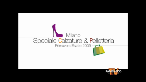 Calzature e Pelletteria P/E 2009