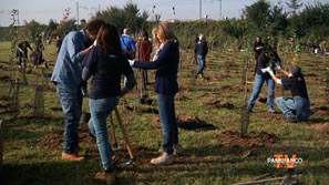 Timberland Earth Day, 2000 alberi per Bergamo