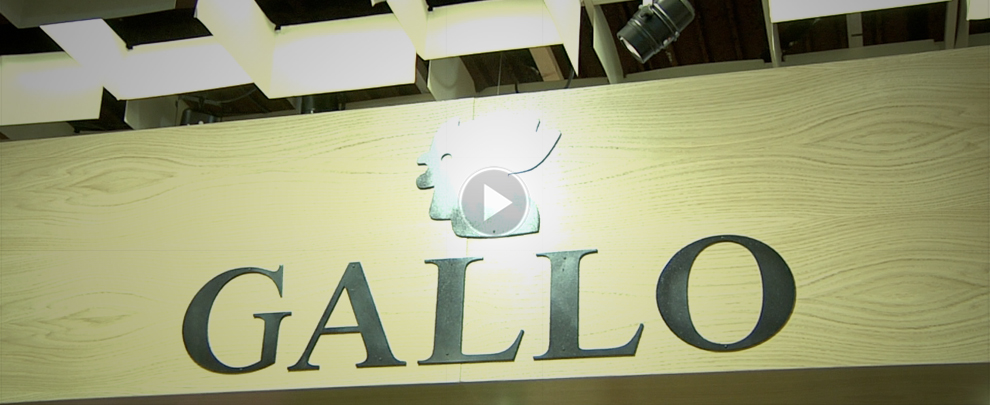 Gallo supera i 23 milioni di ricavi nel 2014