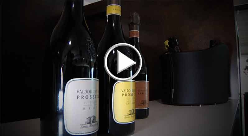 Il Vermentino nei piani di Santa Margherita