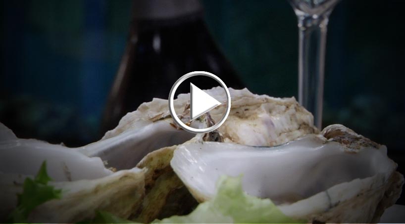 Fish&wine street food, Feudi lancia Nave Errante