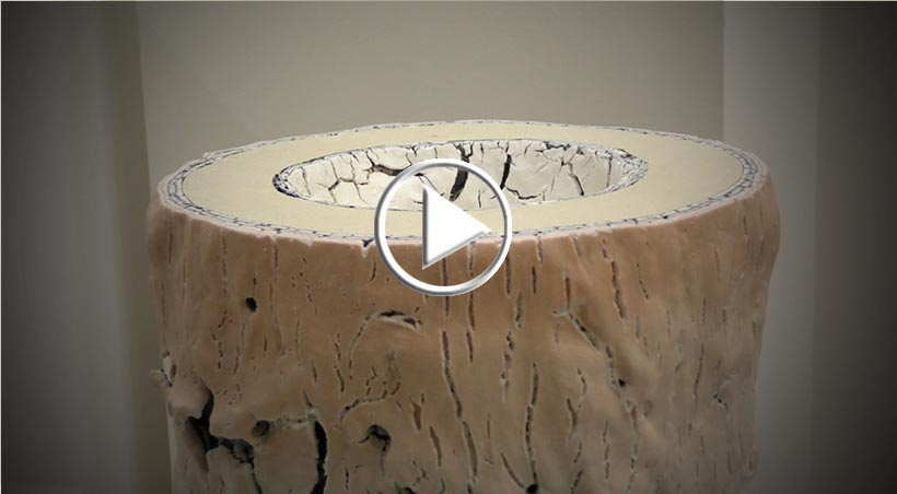 Tutto il design del miart