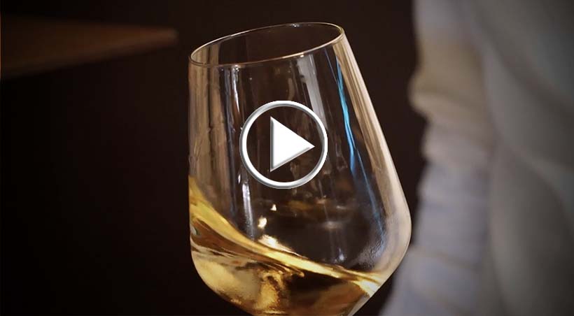 I vini di Ottella sbarcano in Cina con Hai Luen Trading