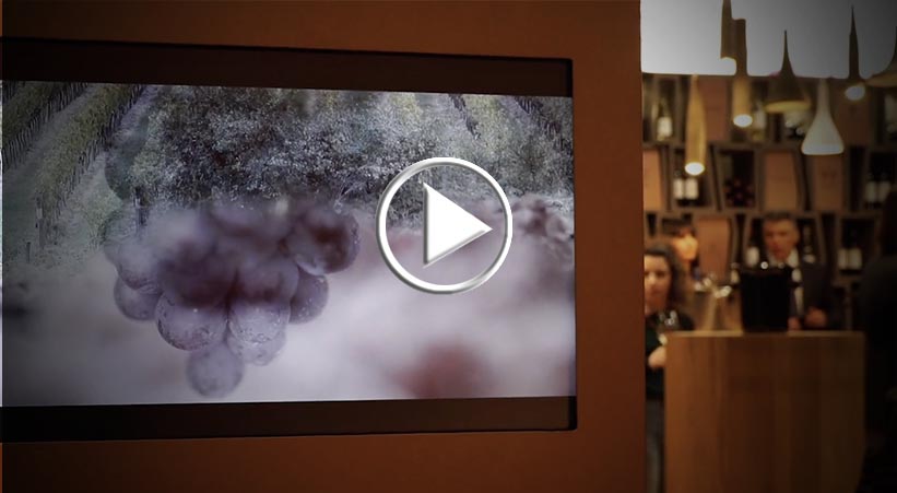 Antinori prepara la cantina per Guado al Tasso