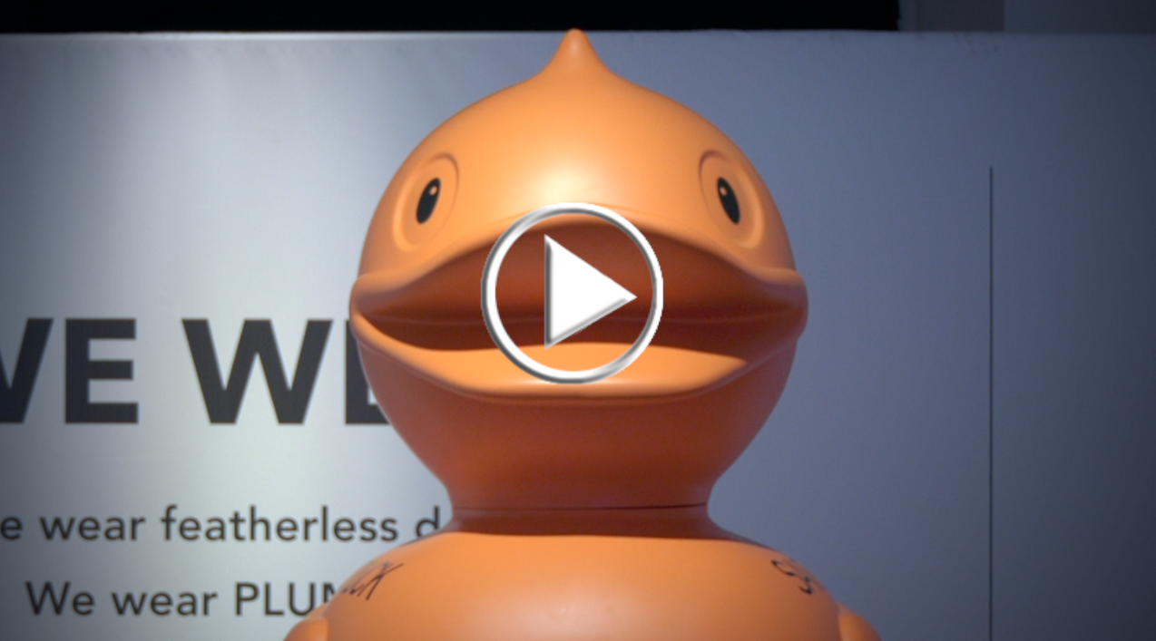 Save the Duck investe su collaborazioni e temporary