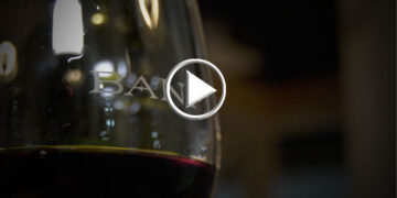 Banfi, la formula club spinge Brunello e web