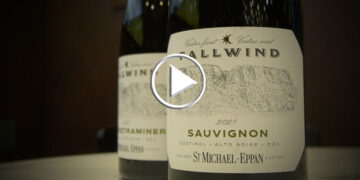 Cantina San Michele Appiano lancia la ‘quality app’